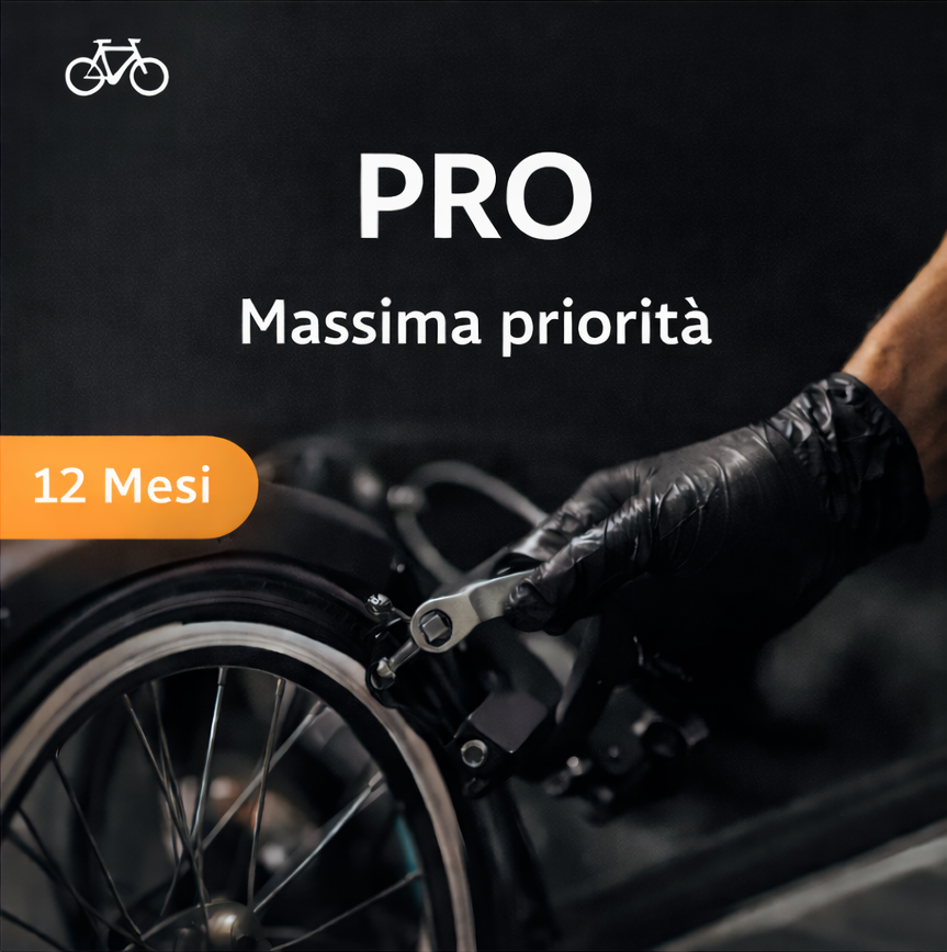 Abbonamento Pro 12 Mesi