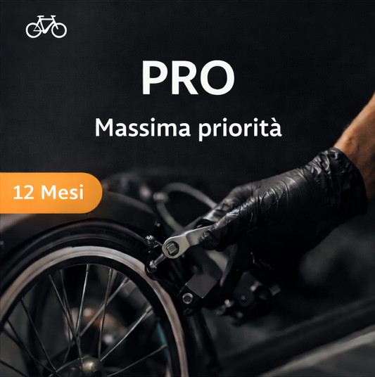 Abbonamento Pro 12 Mesi