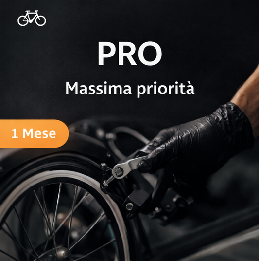 Abbonamento Pro 1 Mese